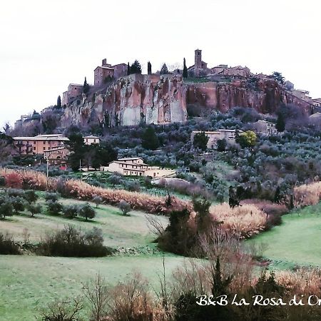 Bed and breakfast La Rosa Di Orvieto Extérieur photo